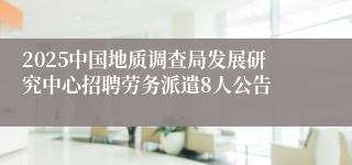 2025中国地质调查局发展研究中心招聘劳务派遣8人公告