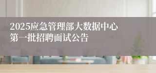 2025应急管理部大数据中心第一批招聘面试公告