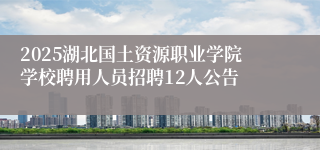 2025湖北国土资源职业学院学校聘用人员招聘12人公告