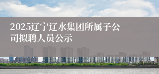 2025辽宁辽水集团所属子公司拟聘人员公示