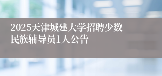 2025天津城建大学招聘少数民族辅导员1人公告