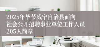 2025年毕节威宁自治县面向社会公开招聘事业单位工作人员205人简章