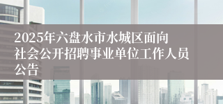 2025年六盘水市水城区面向社会公开招聘事业单位工作人员公告