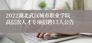 2022湖北武汉城市职业学院高层次人才专项招聘13人公告