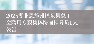2025湖北恩施州巴东县总工会聘用专职集体协商指导员1人公告