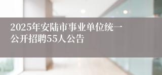 2025年安陆市事业单位统一公开招聘55人公告