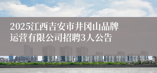 2025江西吉安市井冈山品牌运营有限公司招聘3人公告