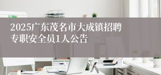 2025广东茂名市大成镇招聘专职安全员1人公告