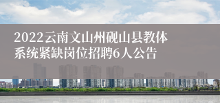 2022云南文山州砚山县教体系统紧缺岗位招聘6人公告