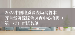 2025中国地质调查局乌鲁木齐自然资源综合调查中心招聘（第一批）面试名单