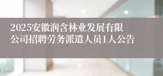 2025安徽润含林业发展有限公司招聘劳务派遣人员1人公告