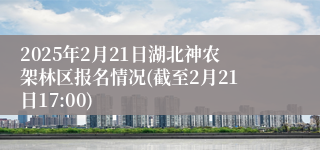 2025年2月21日湖北神农架林区报名情况(截至2月21日17:00)