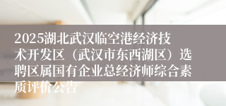 2025湖北武汉临空港经济技术开发区（武汉市东西湖区）选聘区属国有企业总经济师综合素质评价公告