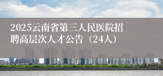 2025云南省第三人民医院招聘高层次人才公告（24人）