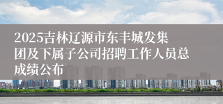 2025吉林辽源市东丰城发集团及下属子公司招聘工作人员总成绩公布