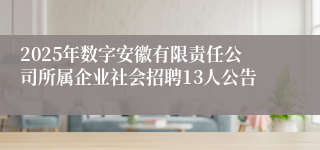 2025年数字安徽有限责任公司所属企业社会招聘13人公告