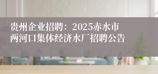 贵州企业招聘：2025赤水市两河口集体经济水厂招聘公告