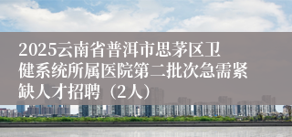 2025云南省普洱市思茅区卫健系统所属医院第二批次急需紧缺人才招聘（2人）