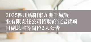 2025四川绵阳市九洲千城置业有限责任公司招聘商业运营项目副总监等岗位2人公告