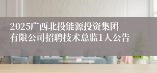 2025广西北投能源投资集团有限公司招聘技术总监1人公告