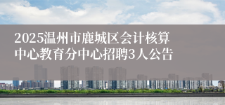 2025温州市鹿城区会计核算中心教育分中心招聘3人公告