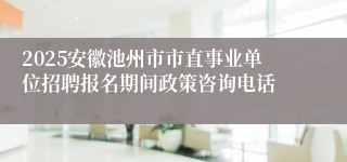 2025安徽池州市市直事业单位招聘报名期间政策咨询电话