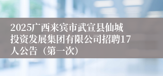 2025广西来宾市武宣县仙城投资发展集团有限公司招聘17人公告（第一次）