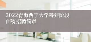 2022青海西宁大学筹建阶段师资招聘简章