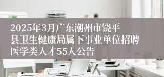 2025年3月广东潮州市饶平县卫生健康局属下事业单位招聘医学类人才55人公告