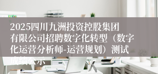 2025四川九洲投资控股集团有限公司招聘数字化转型（数字化运营分析师-运营规划）测试成绩公示