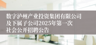 数字泸州产业投资集团有限公司及下属子公司2025年第一次社会公开招聘公告