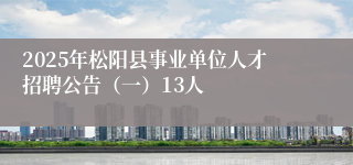 2025年松阳县事业单位人才招聘公告（一）13人