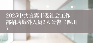 2025中共宜宾市委社会工作部招聘编外人员2人公告（四川）