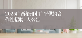 2025广西梧州市广平供销合作社招聘1人公告