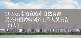 2025云南省宣威市自然资源局公开招聘编制外工作人员公告（4人）