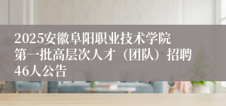 2025安徽阜阳职业技术学院第一批高层次人才（团队）招聘46人公告