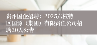 贵州国企招聘：2025六枝特区国源（集团）有限责任公司招聘20人公告