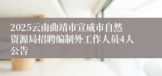 2025云南曲靖市宣威市自然资源局招聘编制外工作人员4人公告