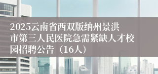 2025云南省西双版纳州景洪市第三人民医院急需紧缺人才校园招聘公告（16人）