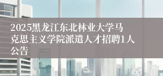 2025黑龙江东北林业大学马克思主义学院派遣人才招聘1人公告