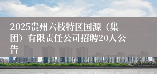 2025贵州六枝特区国源（集团）有限责任公司招聘20人公告