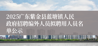 2025广东紫金县蓝塘镇人民政府招聘编外人员拟聘用人员名单公示