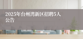 2025年台州湾新区招聘5人公告