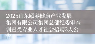 2025山东颐养健康产业发展集团有限公司集团总部纪委审查调查类专业人才社会招聘3人公告