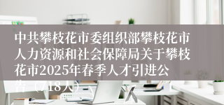 中共攀枝花市委组织部攀枝花市人力资源和社会保障局关于攀枝花市2025年春季人才引进公告（718人）