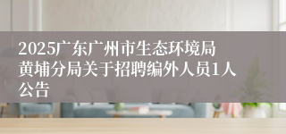 2025广东广州市生态环境局黄埔分局关于招聘编外人员1人公告