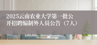2025云南农业大学第一批公开招聘编制外人员公告（7人）