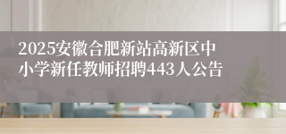 2025安徽合肥新站高新区中小学新任教师招聘443人公告