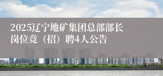 2025辽宁地矿集团总部部长岗位竞（招）聘4人公告