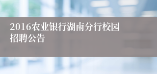 2016农业银行湖南分行校园招聘公告